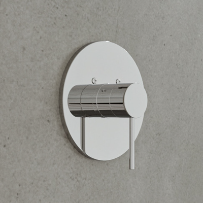 VARHSK01 - Round Hand Shower Kit with Spout